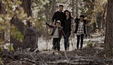 Family taking a walk in the woods