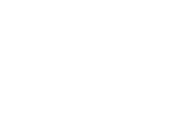 Polar white logo