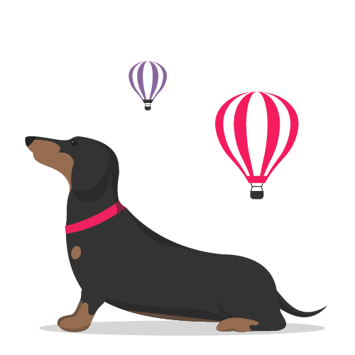 Stanley and hot air balloons