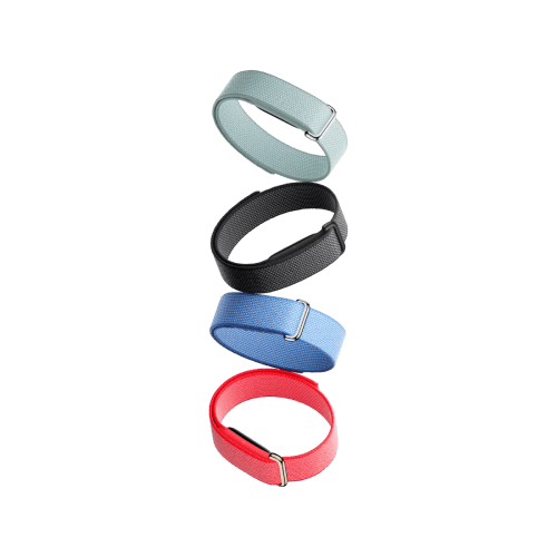 Google Fitbit Air