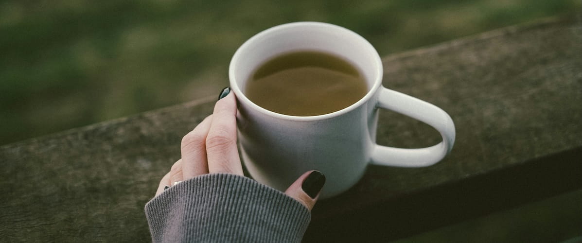 Green-tea-metabolism-article-Vitality