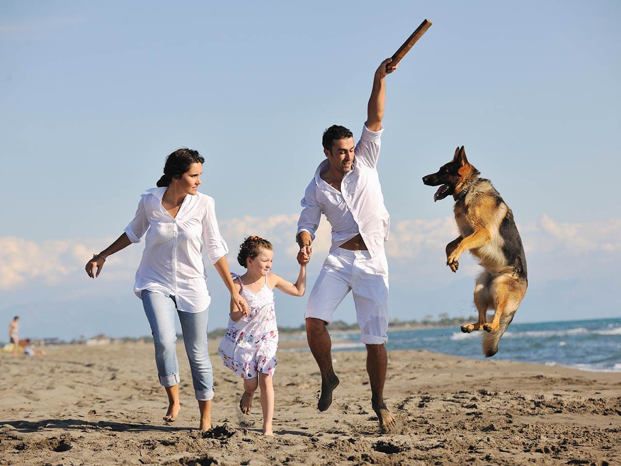 family playing with dog on beach